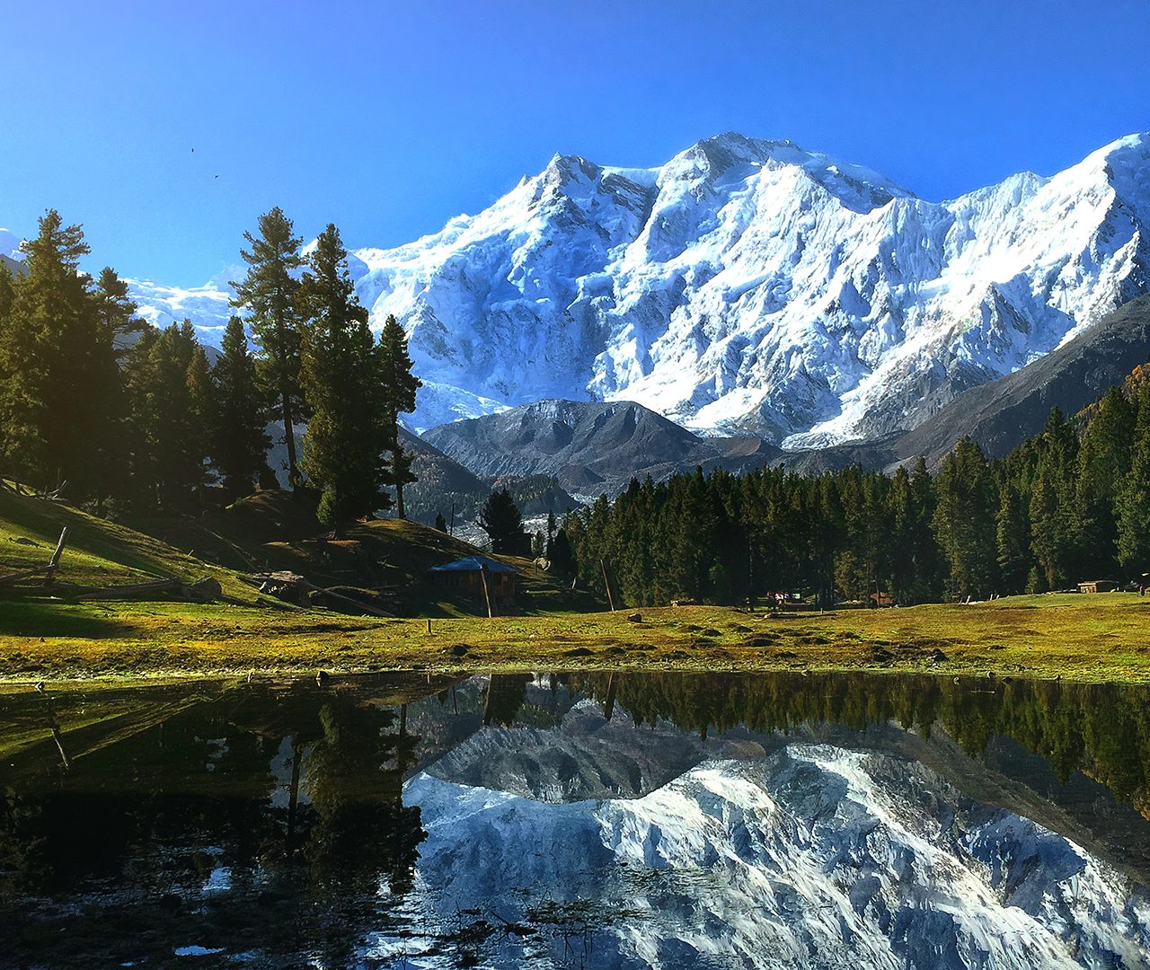 Fairy Meadows-pakistan_l
