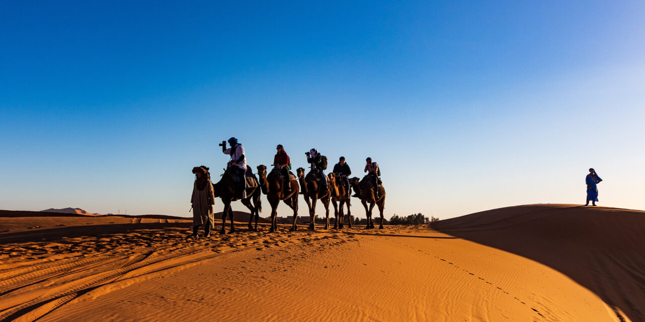 Cholistan Desert Camel Safari